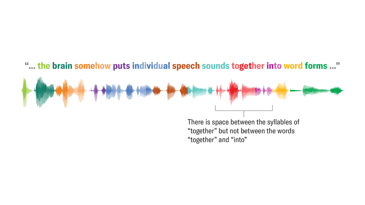 How your brain separates sounds into words