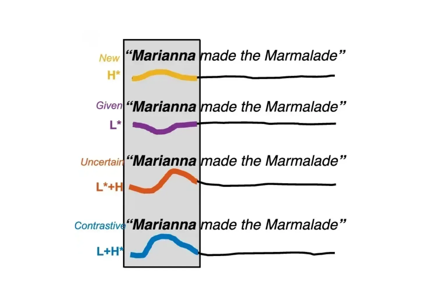 What are language isolates?